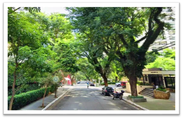 Desentupidora de Lavabo na Vila Mascote