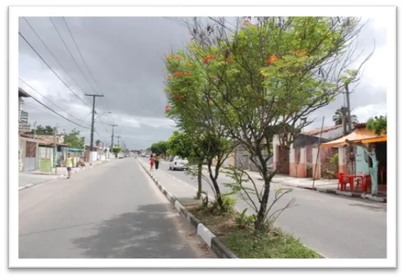 Desentupidora de Tubulação no Jardim Cruzeiro