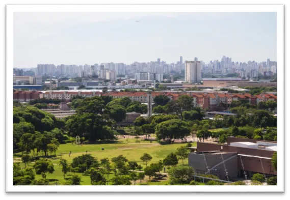 Desentupidora de Vaso Sanitário em Santana