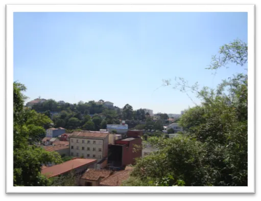 Desentupidora Ralo de Cozinha no Jardim São Paulo