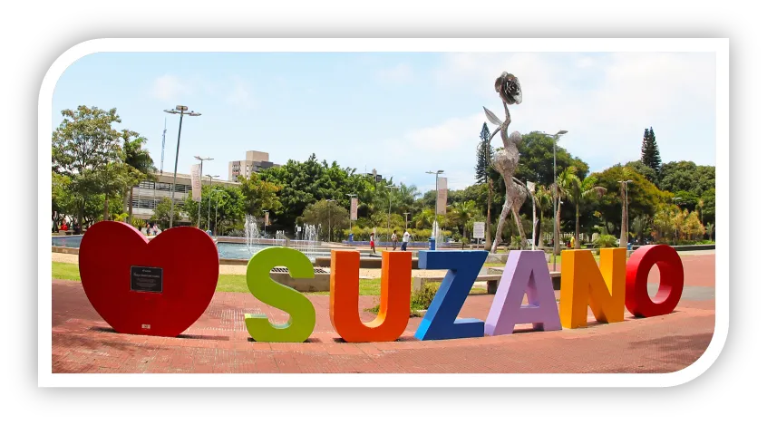 Desentupimento de Privadas em Suzano