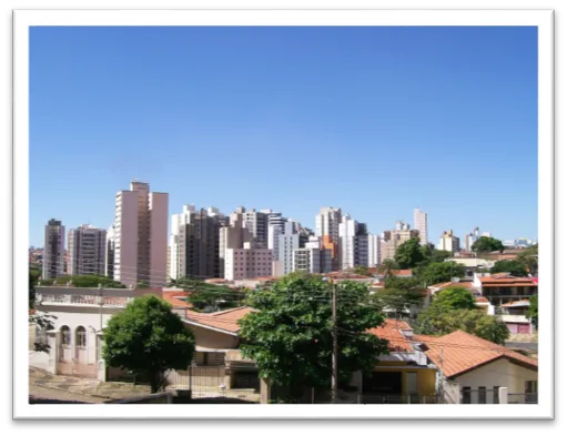 Desentupimento de Vasos Sanitário no Jardim Campinas